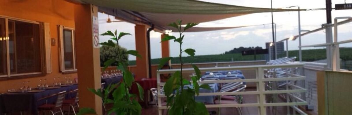 TERRAZA LOS VIÑEDOS RAIMAT